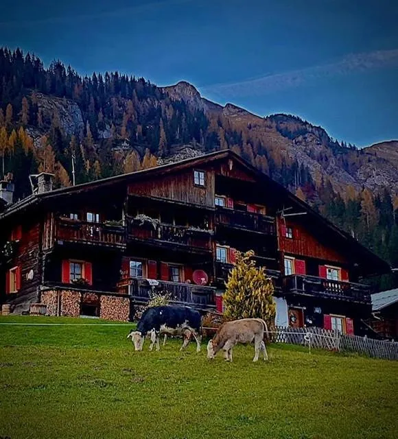Appartamento vacanze per 4 persone, con giardino e panorama nonché balcone - 1