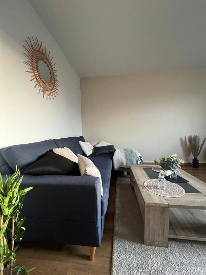 Gîte pour 4 personnes, avec vue à Ambilly - 3