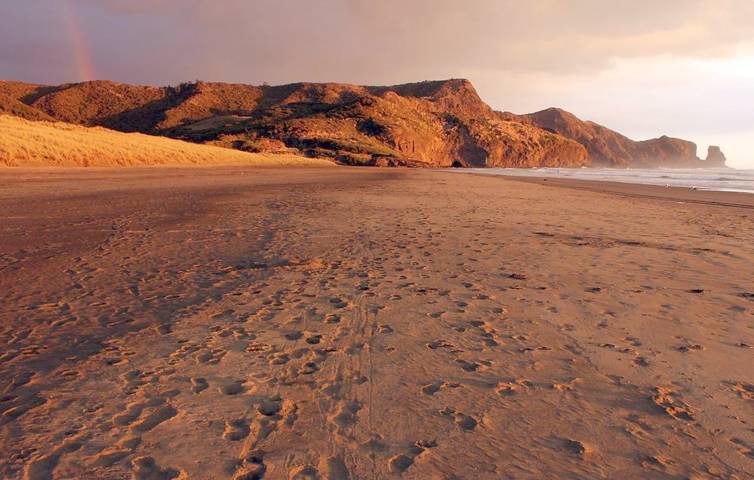 Gîte pour 2 personnes, avec jardin et vue à Auckland - 3