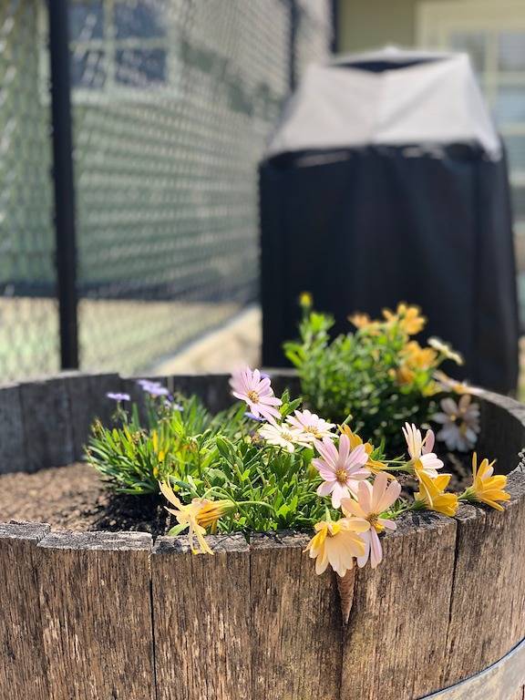 Neu: Ruhiger Rückzugsort - \"The Barn House\", Ingleside [Sydney Northern Beaches] in Sydney, New South Wales