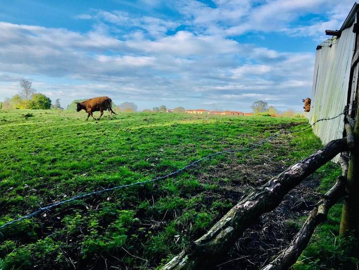 Casa rural para 5 personas, con jardín y vistas en Cudillero - 3