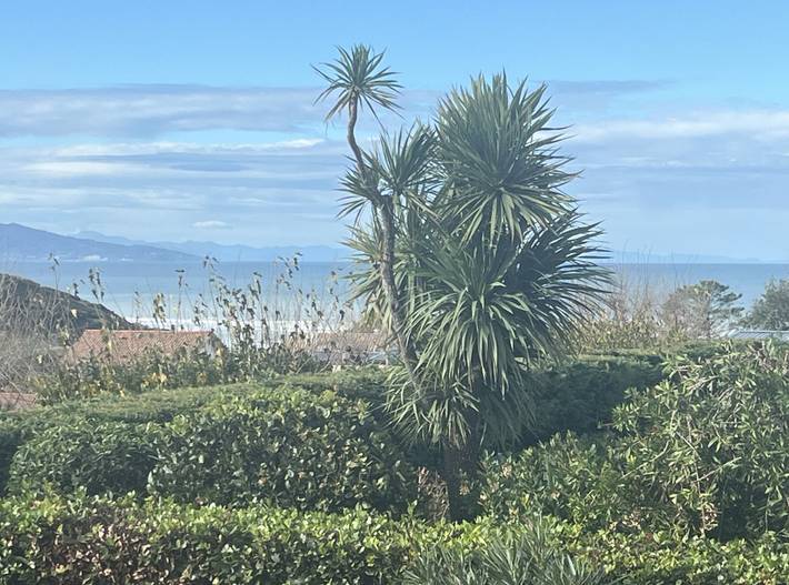 Location de vacances pour 2 personnes, avec jardin à Biarritz - 4