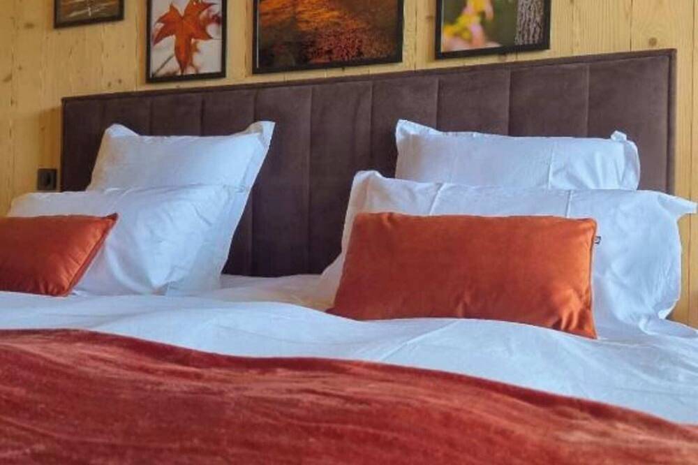 Chalet 4* Aux Mélèzes de Xavier Sauna Hammam Spa in Wangenbourg-Engenthal, Nord de l'Alsace