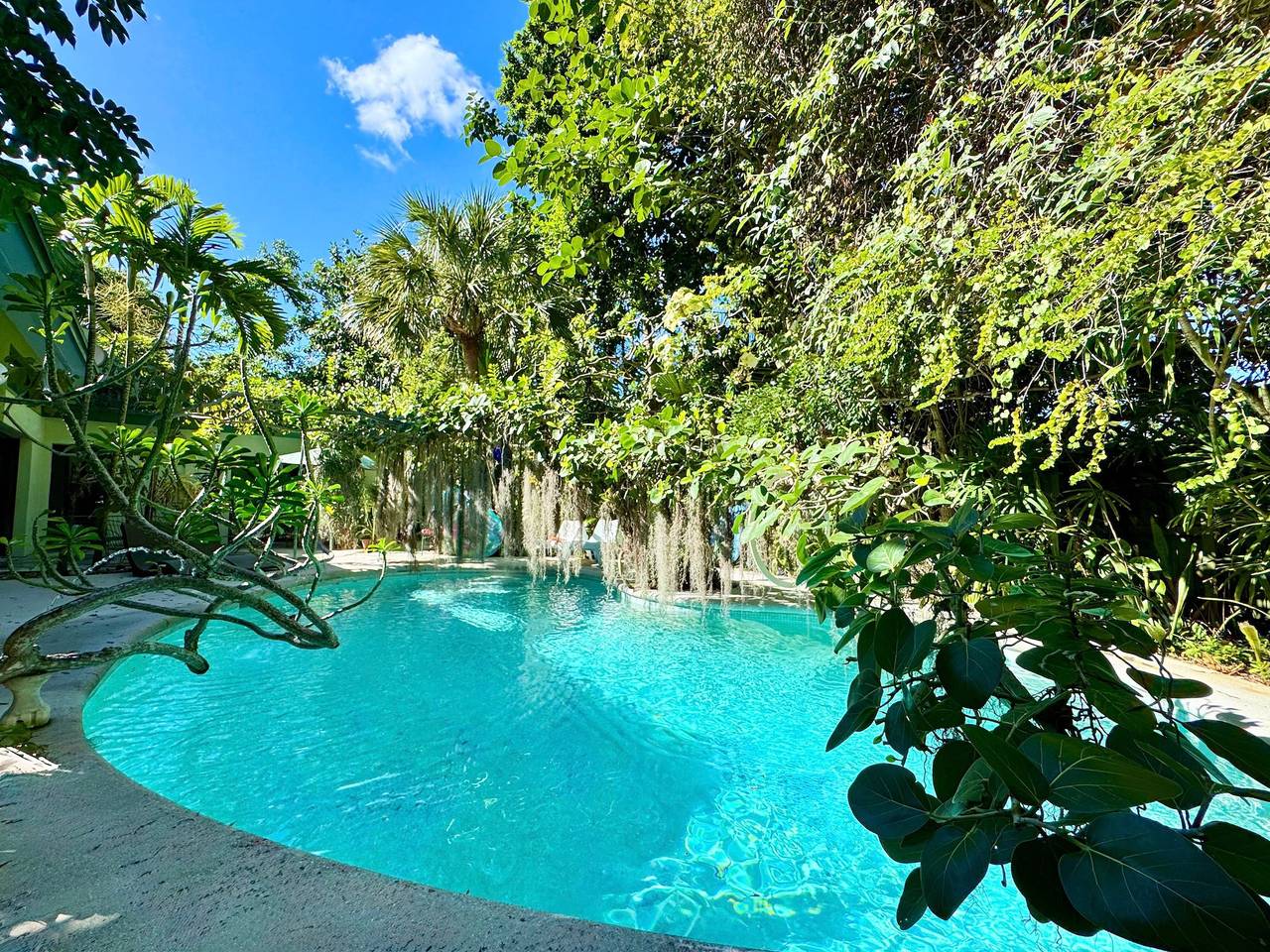 Unique Art & Nature Hideaway Walkable to Wilton Drive in Wilton Manors, Broward County