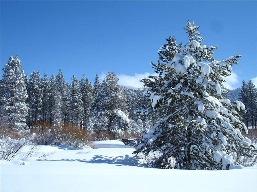 Log Cabin for 8 Guests in South Lake Tahoe, Heavenly