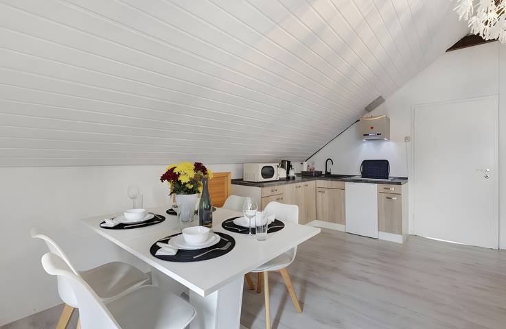 Ganze Wohnung, Ferienwohnung Schwarzwaldglück Loft St.Blasien im Schwarzwald mit Balkon und Wi-Fi in St. Blasien, Südschwarzwald
