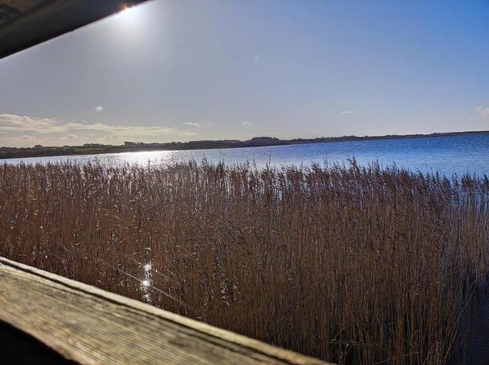 Location de vacances pour 5 personnes, avec vue sur le lac ainsi que jardin et vue, animaux acceptés à Tréogat