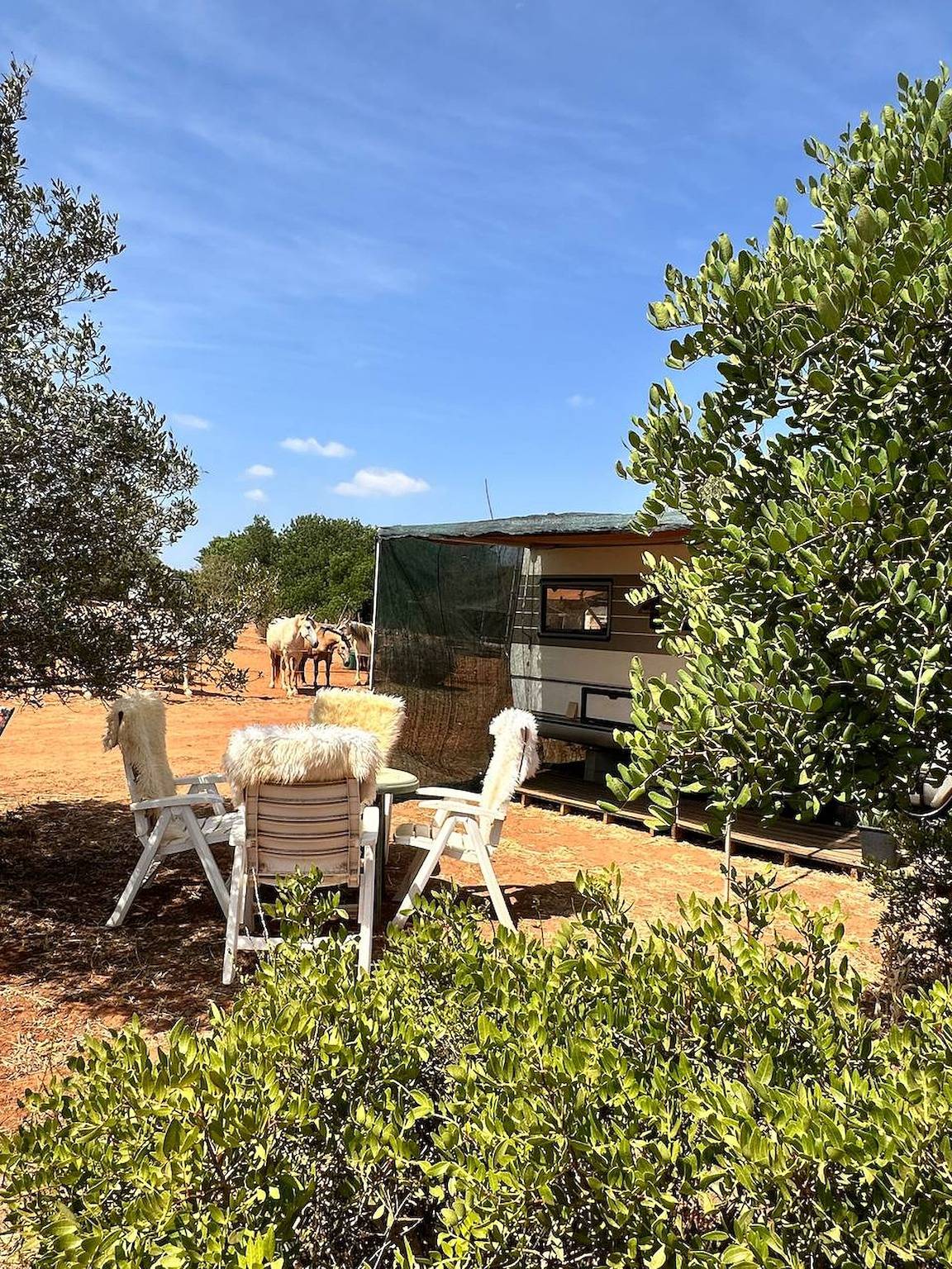 La caravane de Paul pour 4 personnes - Admirez les chevaux depuis votre lit in Barão de São João, Bensafrim e Barão de São João