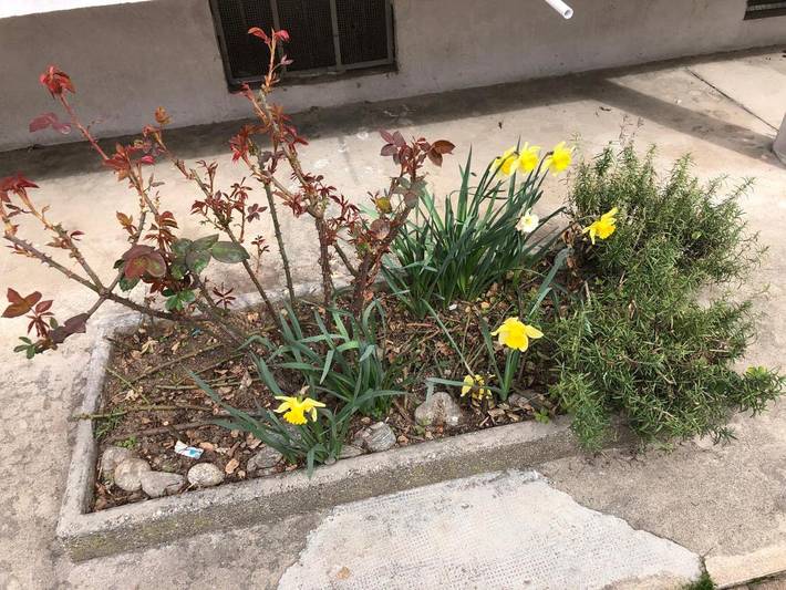 Gîte pour 4 personnes, avec balcon à Venaria Reale - 2