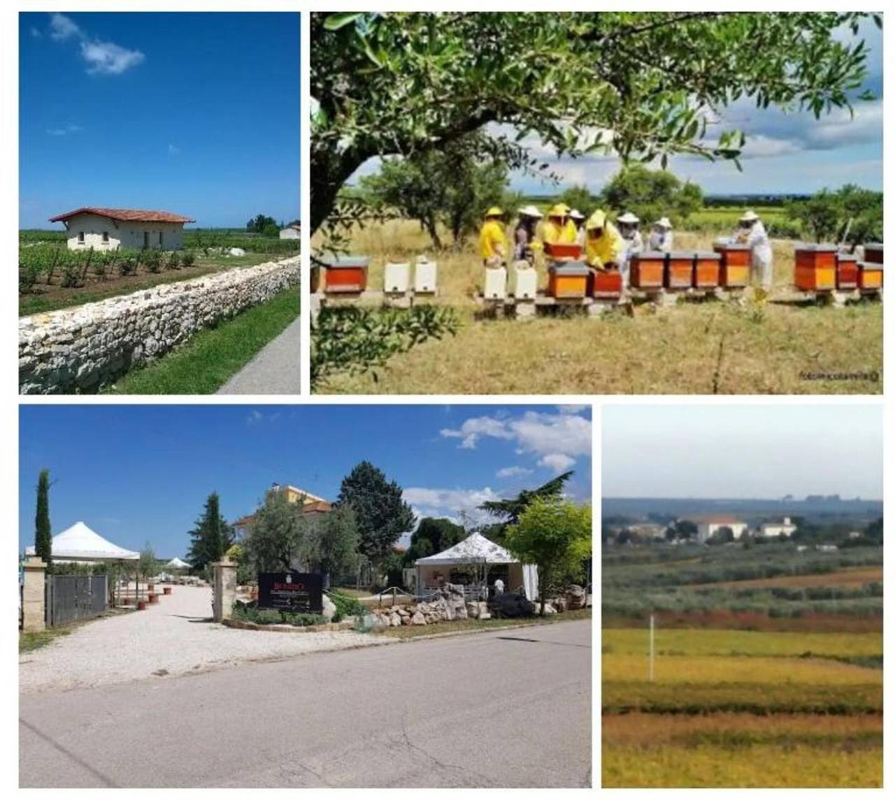 Maison de campagne 'Biobonizio' avec jardin privé et climatisation in Andria, Parc national d'Alta Murgia
