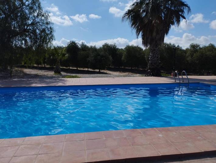 Casa rural para 14 personas, con vistas además de jardín y piscina en Lora del Río - 3