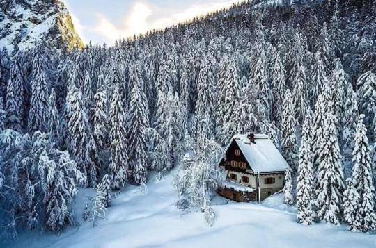 Tonkina koča in Kranjska Gora, Park Narodowy Triglav