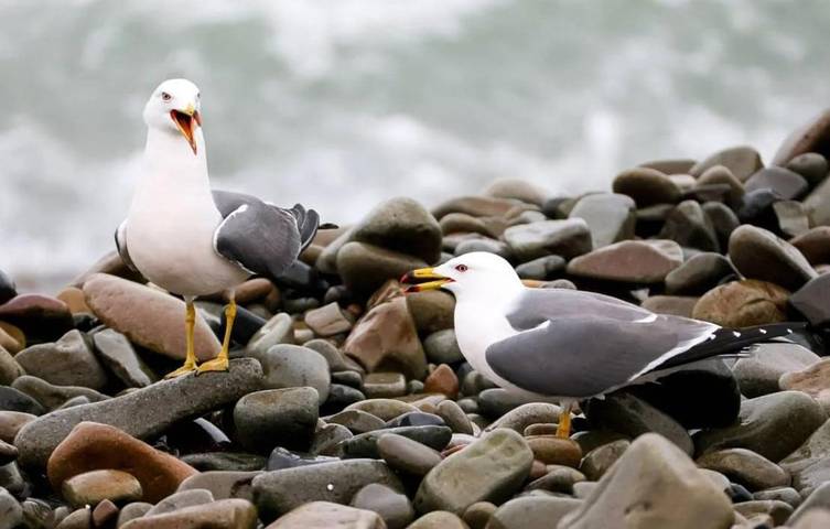 Gîte pour 4 personnes à La Chapelle-sur-Dun - 2