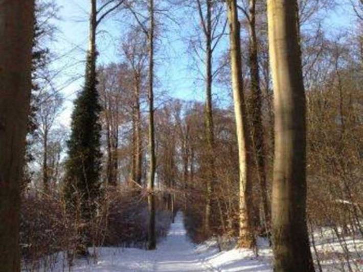 Ferienpark für 4 Personen, mit Balkon und Terrasse sowie Garten und Sauna in Koserow