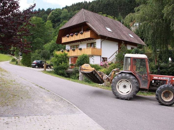 Gîte pour 6 personnes, avec jardin et balcon à Steinach - 2
