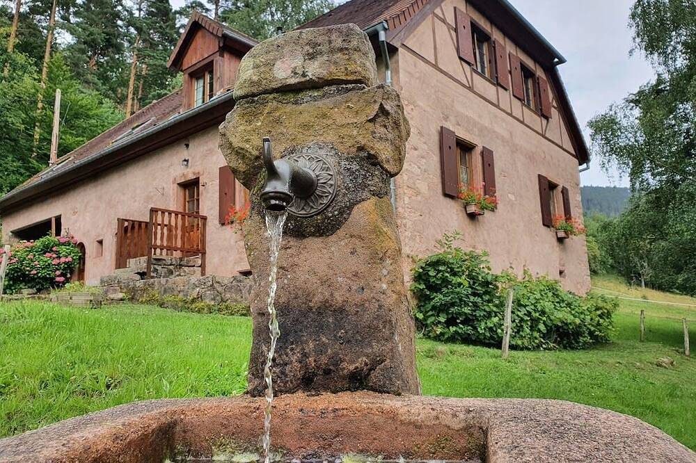 Ferme en grès rose de 1880 au cœur de l'Alsace et de la nature in Fouchy, Région de Sélestat-Erstein