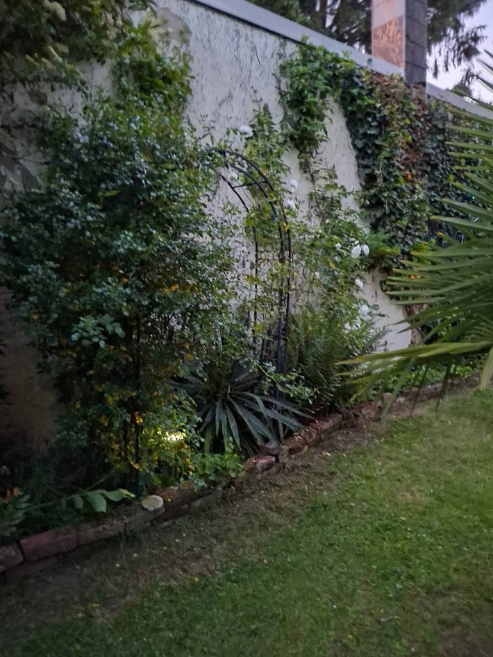 Ferienhaus für 2 Personen, mit Garten in Mönchengladbach