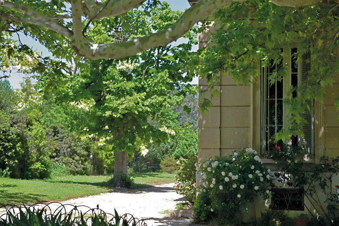 Campagne Saint-Jean de Matha - La chambre des oliviers in Marseille, Région de Marseille