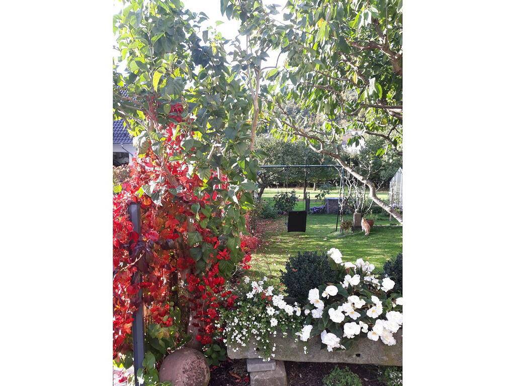 Am Park Komfortable Ferienresidenz in Petersberg, Rhön-Hessen