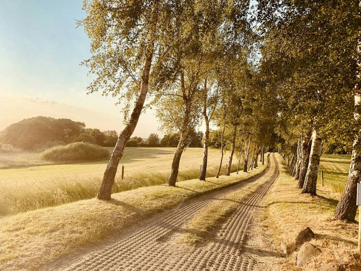 Ferienwohnung für 2 Personen, mit Sauna und Terrasse, mit Haustier in Habernis - 3