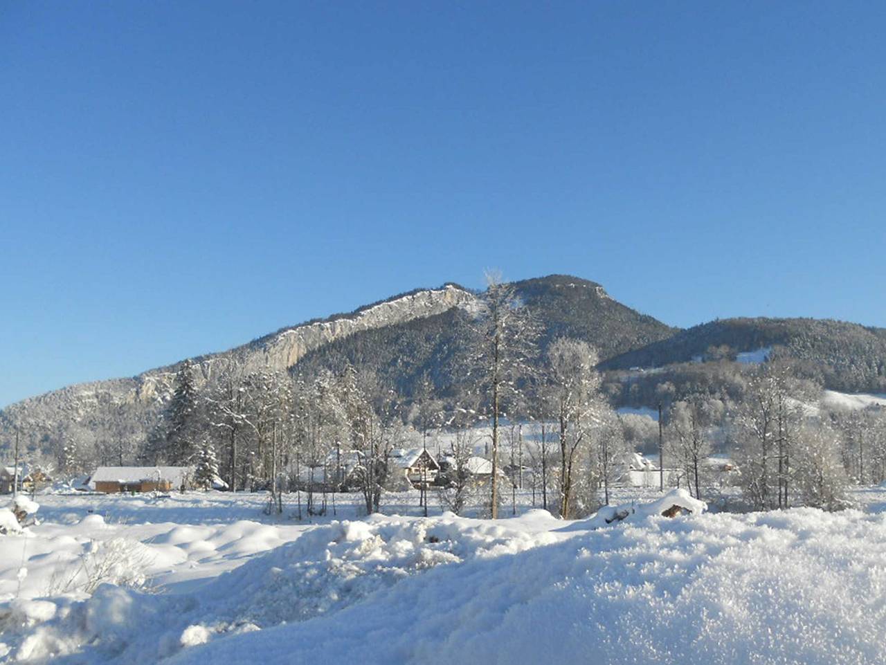 Ganze Ferienwohnung, Apartments Winkler - Apartment Waldblick in Salzkammergut-Berge, Bad Goisern