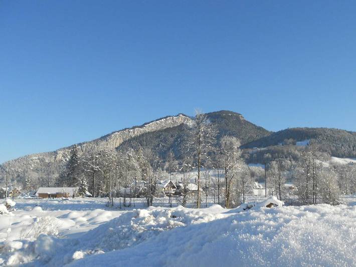 Ganze Ferienwohnung, Apartments Winkler - Apartment Waldblick in Bad Goisern, Dachstein Salzkammergut