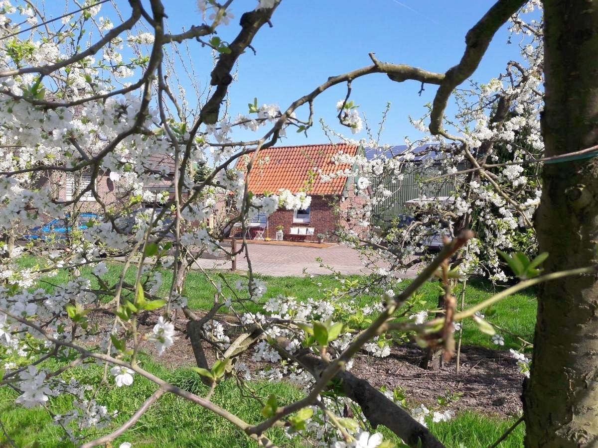 Gemütliches Häuschen im Alten Land in Jork, Altes Land Stade