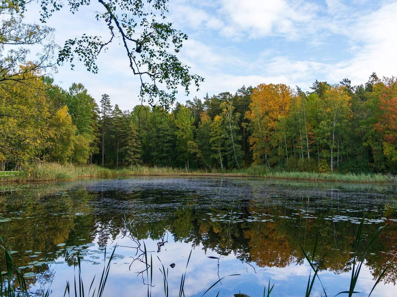 4 stjarniga stuga i Bredaryd in Jönköpings län