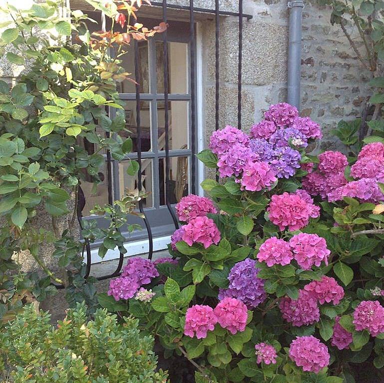 Le Jardin de Dragey - Suite jardin in Dragey-Ronthon, Baie du Mont-Saint-Michel