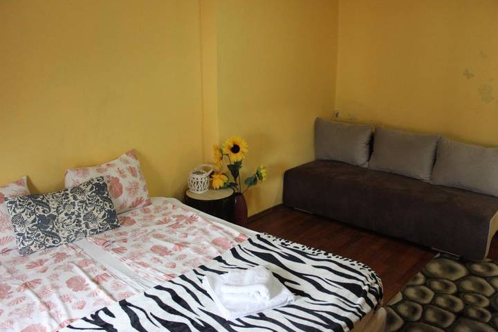 Holiday apartment for 14 people, with terrace and view, with pets - 1