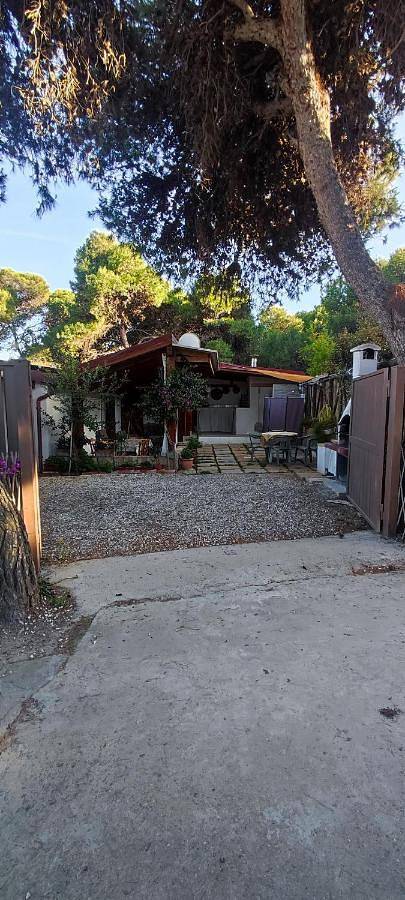 Location de vacances pour 4 personnes, avec jardin, animaux acceptés à Porto Pino - 3