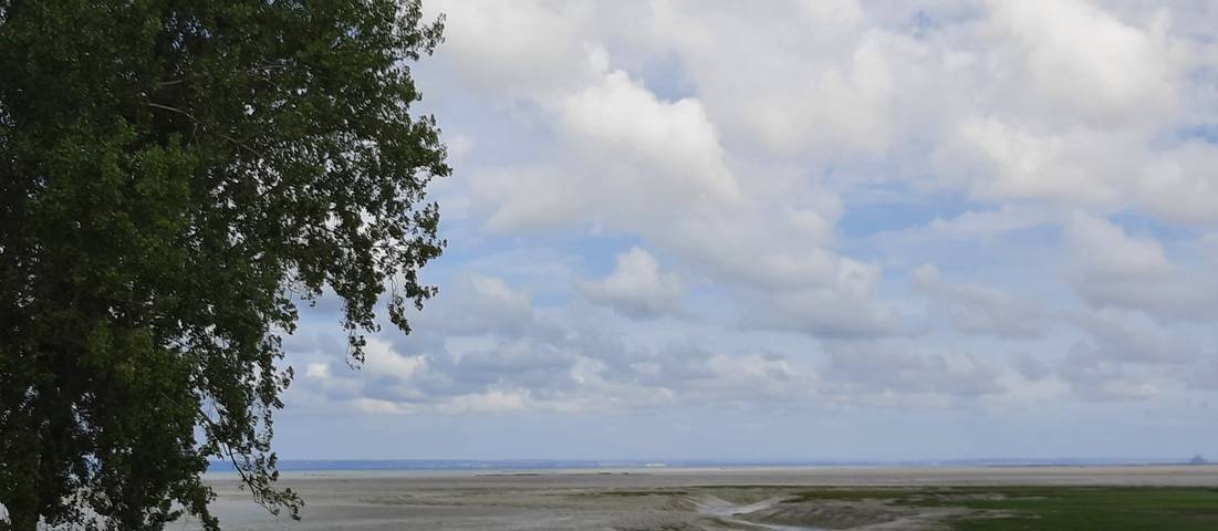Gîte pour 4 personnes, animaux acceptés à Saint-Benoît-des-Ondes - 4