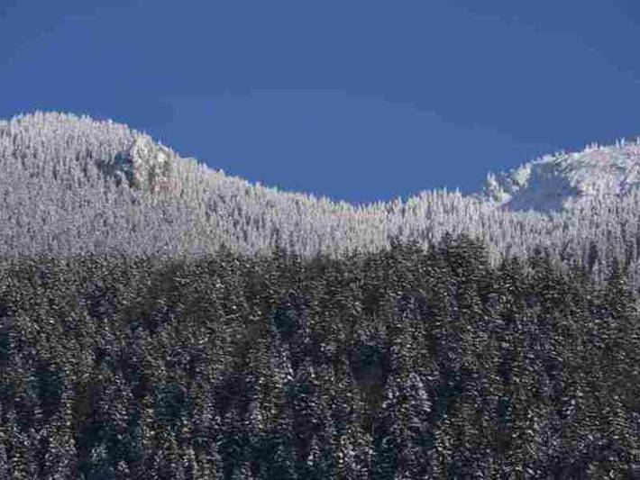 Ferienwohnung für 3 Personen, mit Ausblick und Balkon in Kreuth - 3