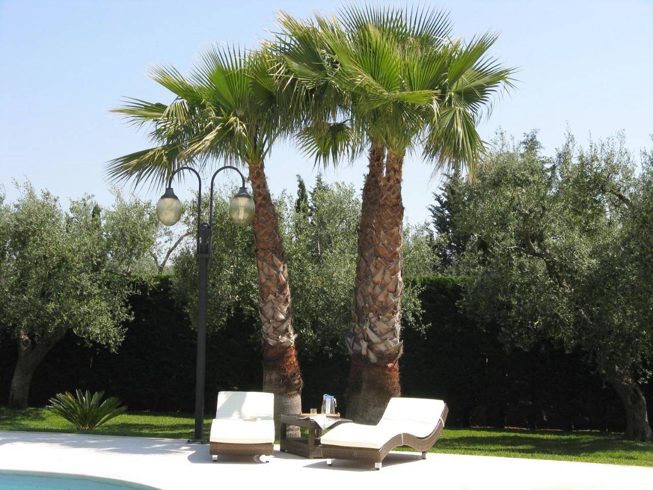 Double Room in Maglie, Provincia di Lecce