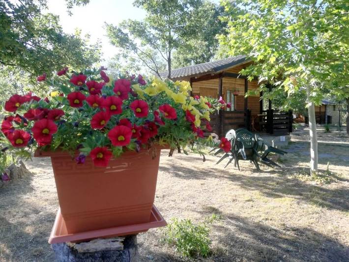 Casa rural para 2 personas, con jardín y vistas, Se admiten mascotas en La Carballeda - 3