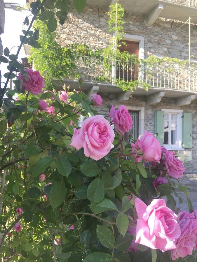 Location de vacances pour 2 personnes, avec jardin et vue à Brovello-Carpugnino