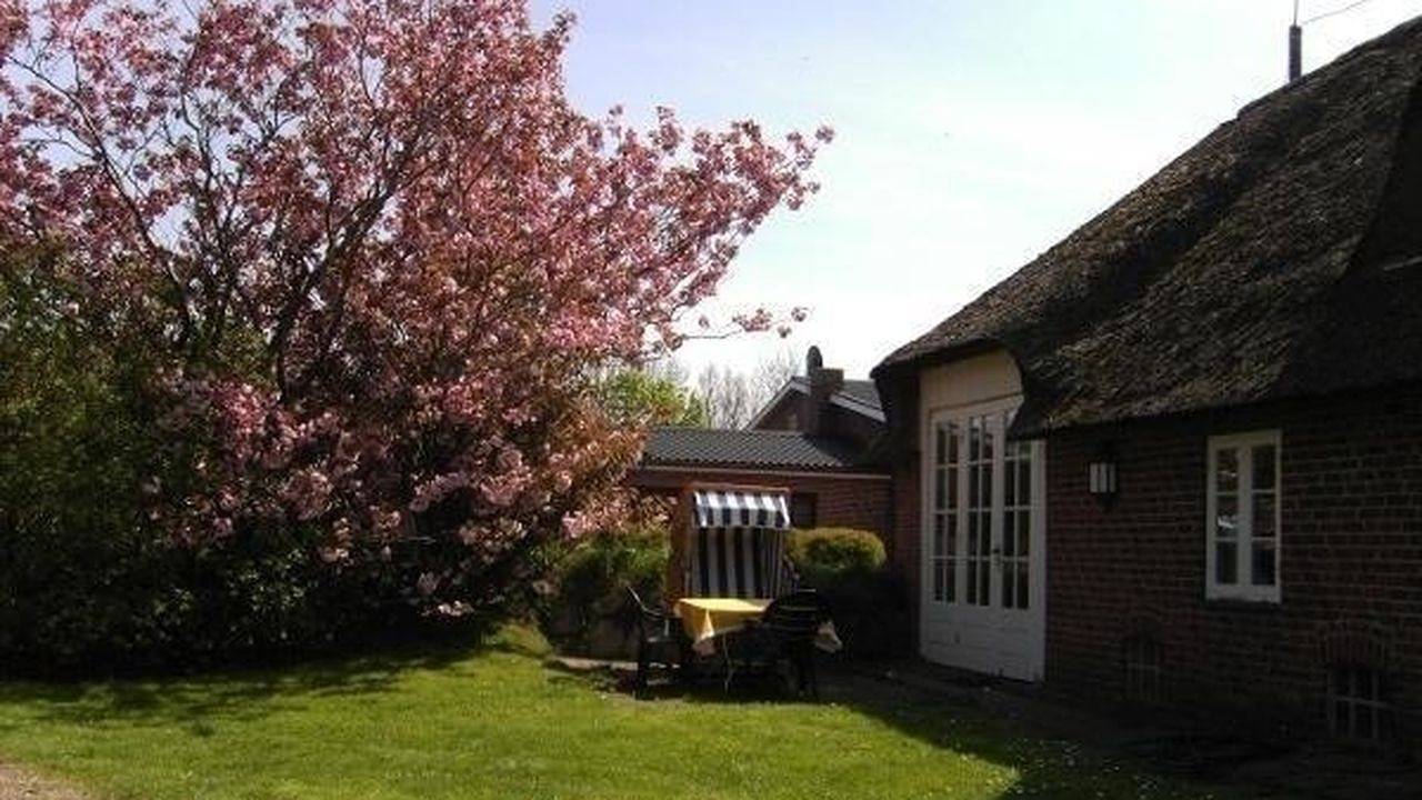 Ganze Ferienwohnung, Ferienwohnung für 6 Personen (100 m²) in Morsum (Sylt) in Sylt-Ost, Sylt (Gemeinde)