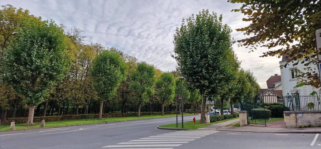 Gîte pour 3 personnes, animaux acceptés à Chantilly - 4