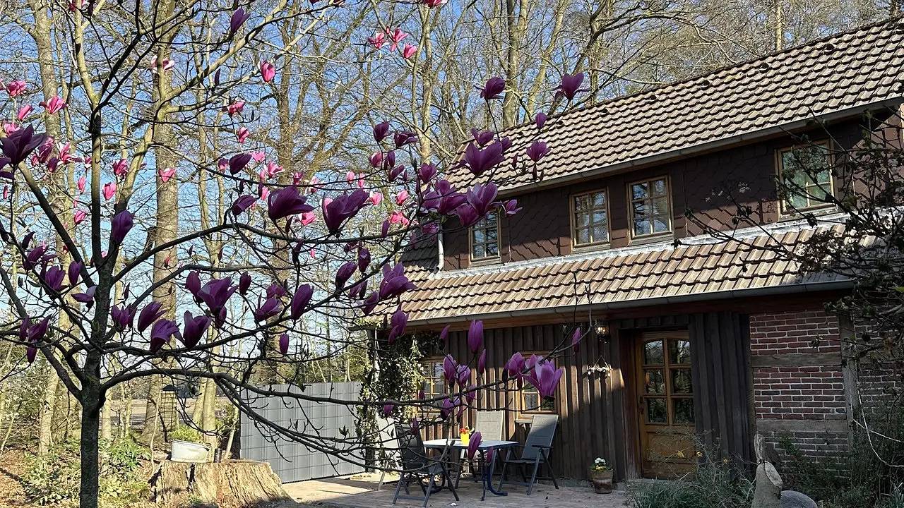 Ferienhaus für 6 Personen in Neuenkirchen (Lüneburger Heide), Landkreis Heidekreis