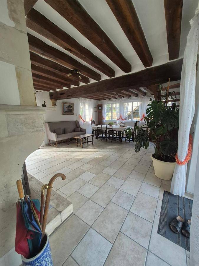 Location de vacances pour 6 personnes, avec bassin pour enfant ainsi que piscine et jardin à Vernou-sur-Brenne - 4