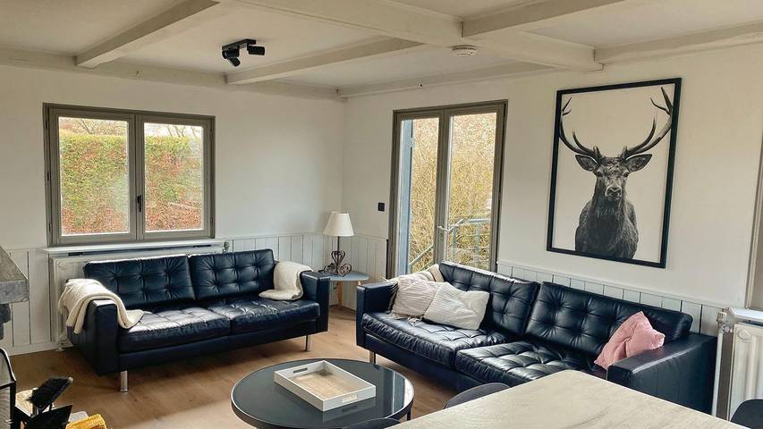 Location de vacances pour 7 personnes, avec jardin et sauna, animaux acceptés à Wéris - 2