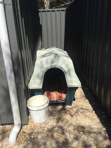 Holiday Home for 10 People in Kangaroo Island, South Australia, Photo 4