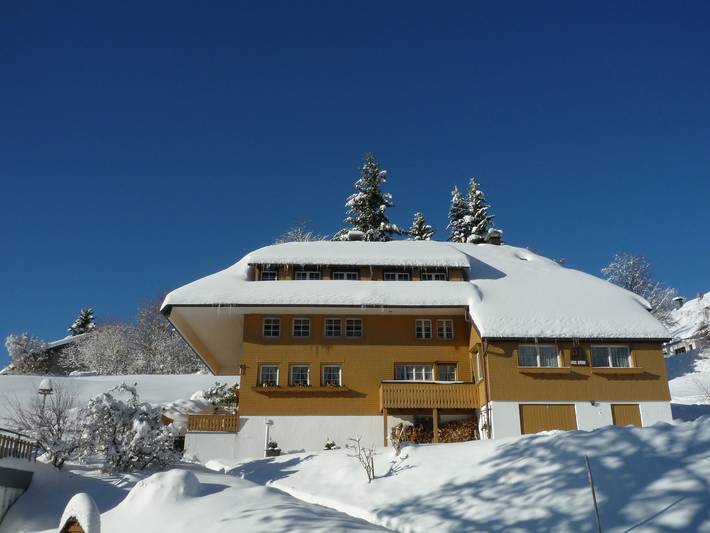 Hütte für 10 Personen, mit Terrasse und Garten sowie Sauna in Todtnauberg