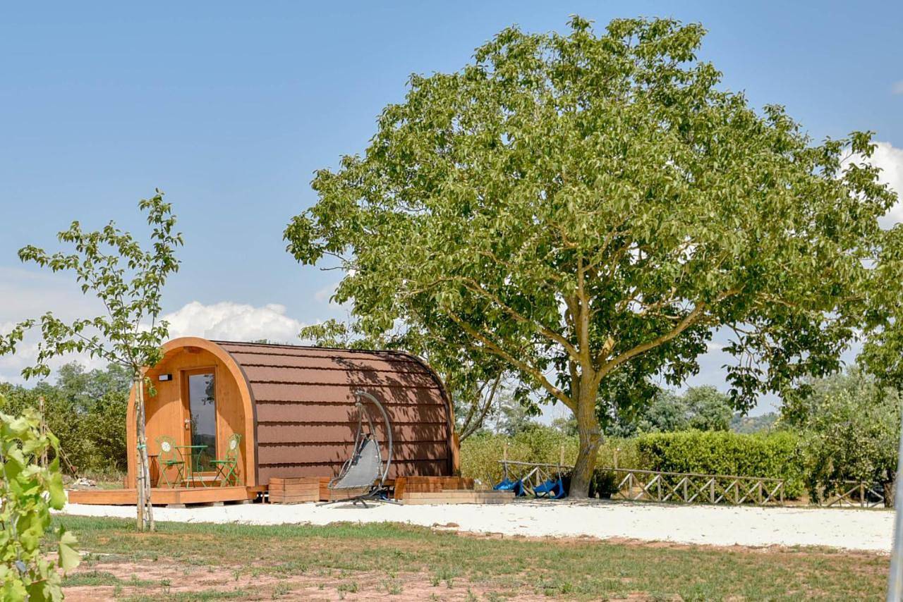 Terre Di Nacchia in Capodimonte, Lago di Bolsena