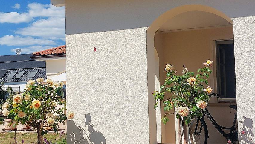 Ferienwohnung für 4 Personen, mit Balkon in Deutsche Weinstraße - 3