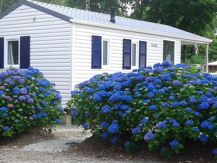 Camping Les Myrtilles - Mobilheim 6 personen - 40m² in Saint-Yvi, Quimper und Umgebung