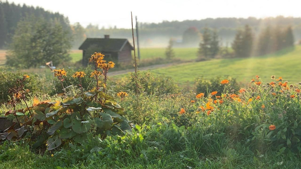 Glamping Ponsa in Pirkanmaa
