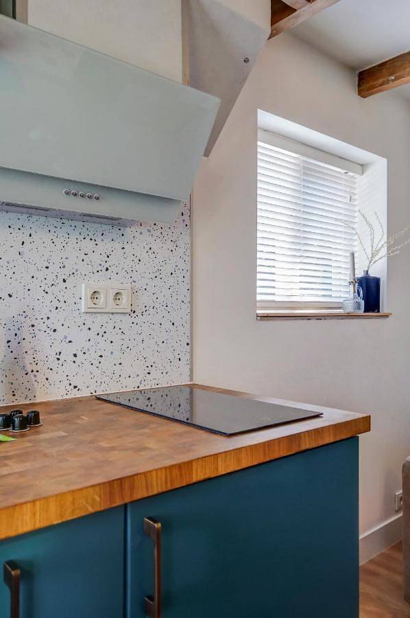 Ferienhaus für 2 Personen, mit Terrasse und Garten, mit Haustier in Petten - 4