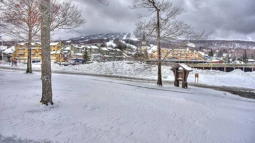 Holiday rental for 8 people, with garden and pool as well as sauna and hot tub in Vermont