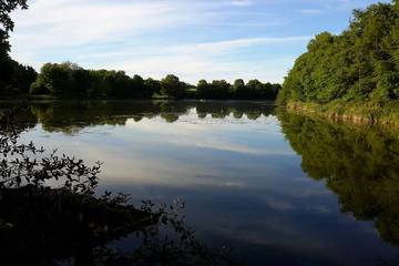Gîte pour 5 personnes, avec jardin à Bonny-sur-Loire